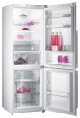 Gorenje RK 65 SYW-F