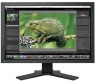 ���� Eizo ColorEdge CG241WK
