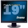 ���� iiyama PL E1906S-B1