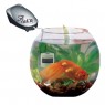 Aquael �������� Gold Fish 13�