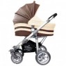 Androx Zippy Chocolate 2011