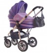 Androx Zippy Lilac 2011