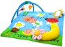 Фото Biba Toys Музыкальный развивающий коврик Райский сад с дугами (670BP)