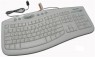���� Microsoft Comfort Curve 2000 1.0 USB White