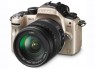 ���� Panasonic DMC-GH1 Gold
