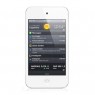Apple iPod Touch 4Gen 32Gb White (12 ���.)