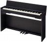 ���� Casio PX-830
