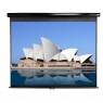 ���� Elite Screens M106UWH