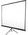 Elite Screens T100UWV1