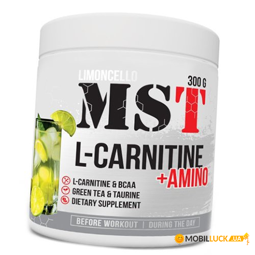   MST L-Carnitine + Amino 300  (02288008)