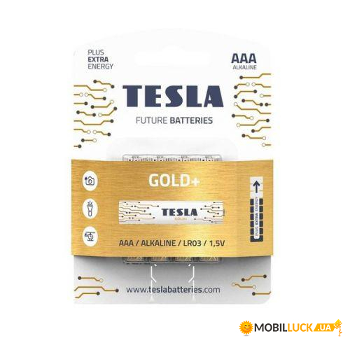  TESLA AAA GOLD+ (LR03), 4 
