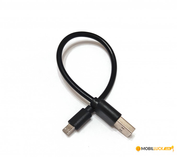   Power Bank USB2.0 AM- micro USB BM 2.4 20  (S0727)