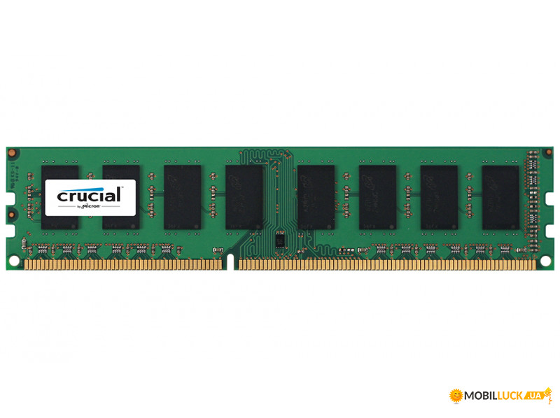   Crucial DDR3 8GB 1600 C11 1.5V (CT102464BA160B)