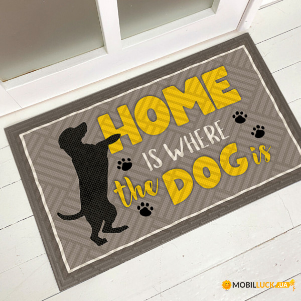     Home is where the dog is KOV_20S051