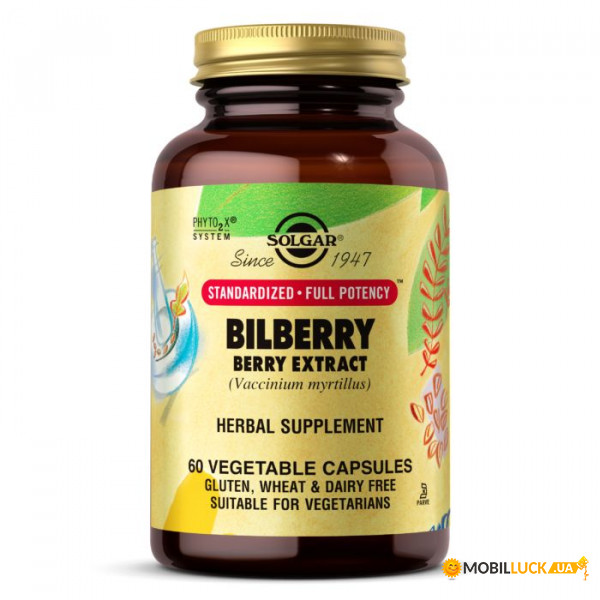    Solgar SFP Bilberry Berry Extract 60  (CN6024)