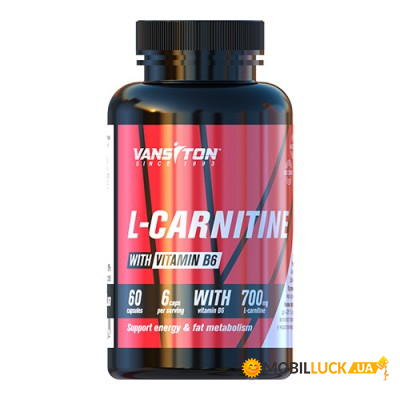   L-Carnitine 60  