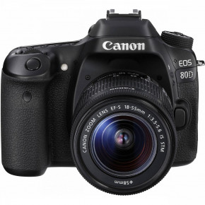    Canon EOS 80D +  18-55 IS STM (JN631263C038) 10