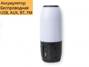  XPRO Q690 10 USB, AUX, FM, Bluetooth  (Q 690) 3