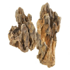    AquaEl  "Dinosaur bone" 20  () (2700000005187)