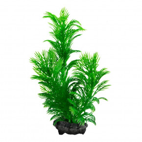    Tetra Cabomba Gr. DecoArt Plant M 23  (0)