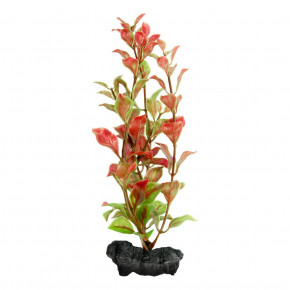  Tetra Red Ludwigia DecoArt Plant M 23