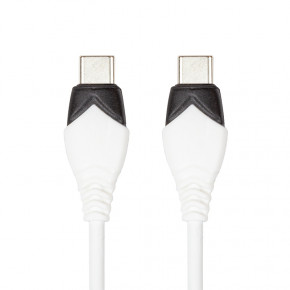  PowerPlant USB Type-C - USB Type-C, 1