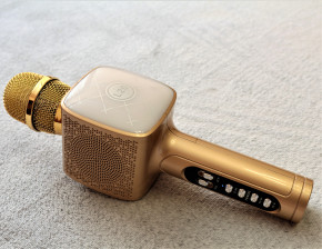   Bluetooth       DM High Quality L20 Original 4+4      Gold    (2130)