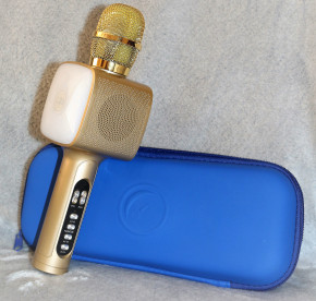   Bluetooth       DM High Quality L20 Original 4+4      Gold    (2130) 3