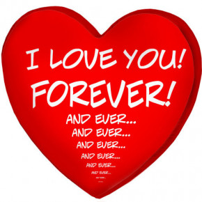   3D I love you! Forever! 3DPS_15L043