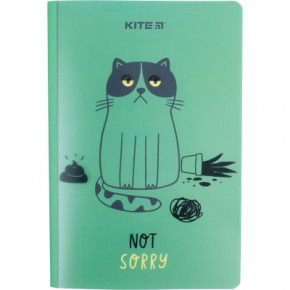  Kite 5+, 40 Sorry cat (K22-460-2)