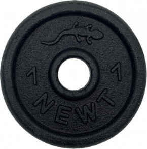       +   Newt Gym Set-SKHW Home 99  Newt (NE-M-SKHW-SET-95) 6