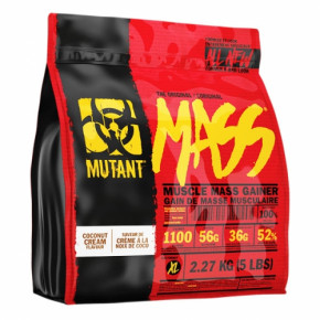  Mutant Mass 6800 Choco fudge brownie