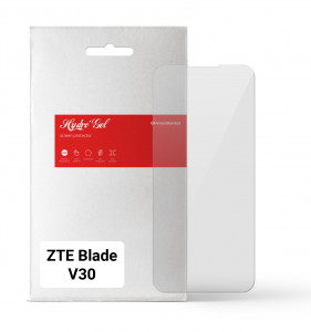   ArmorStandart ZTE Blade V30 (ARM65681)