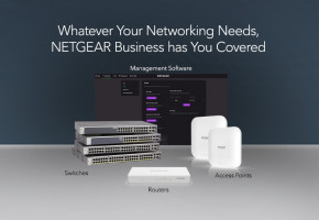  Netgear GS108PP (GS108PP-100EUS) 3