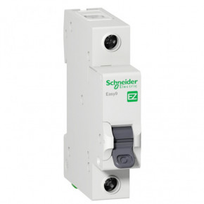   Schneider Electric 1  10    EZ9F14110