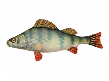   3KFish   600270