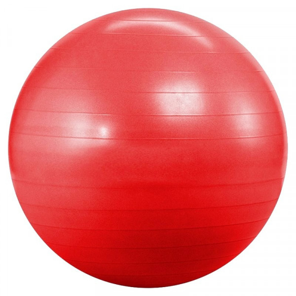    Landfit Fitness Ball 55   (Fitness Ball 55cm)