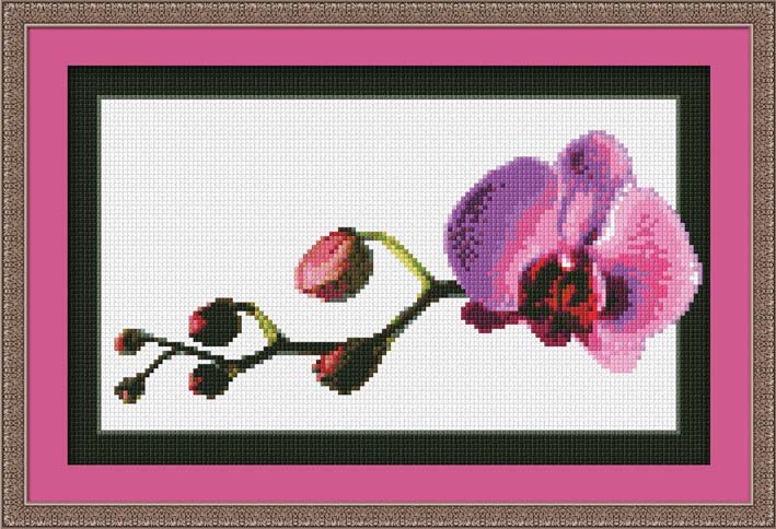 Вышивки и фото орхидеи Вышивки и фото орхидеи