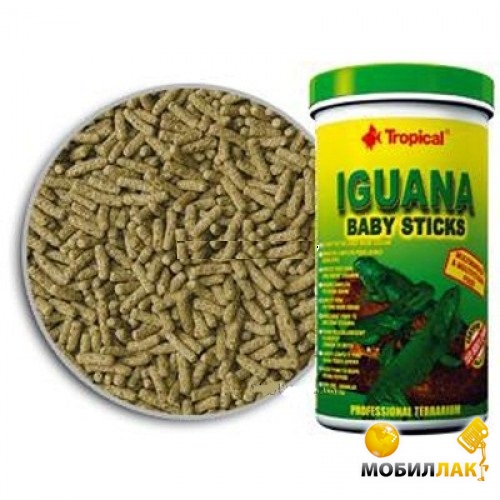    Tropical Iguana Baby St. 250  / 53 