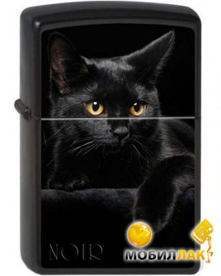  Zippo Black Cat 218.049