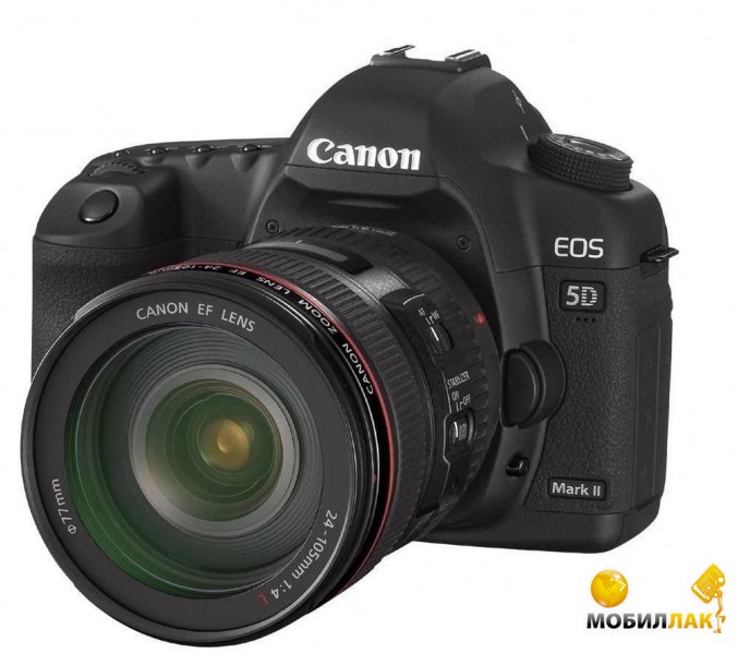 Canon EOS 5D Mark II + EF 24-105