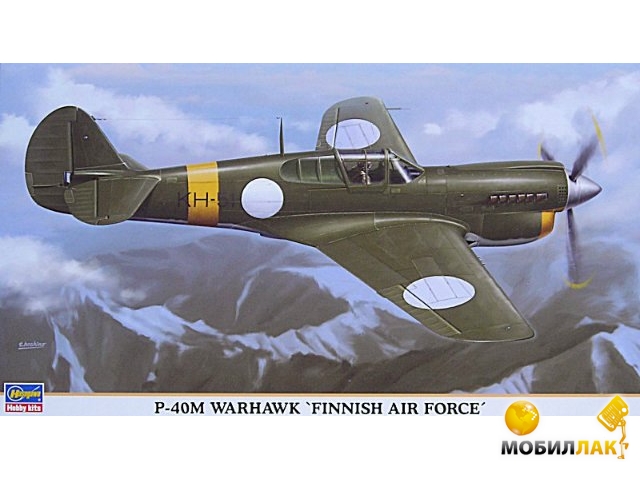  Hasegawa 1/48 P-40m Finnish A.F. HA09843