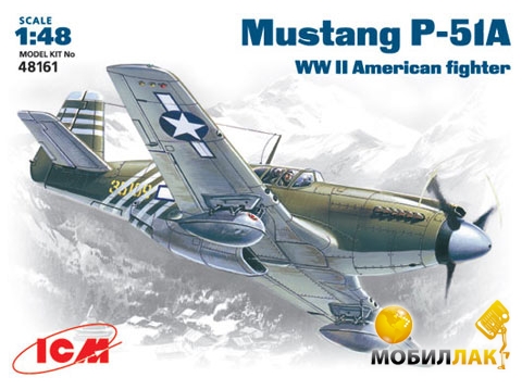  ICM   Mustang P-51  1:48 (ICM48161)