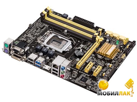   Asus B85M-G (s1150, Intel B85, PCI-Ex16)