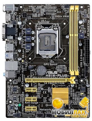   Asus H81M-Plus (s1150, Intel H81, PCI-Ex16)