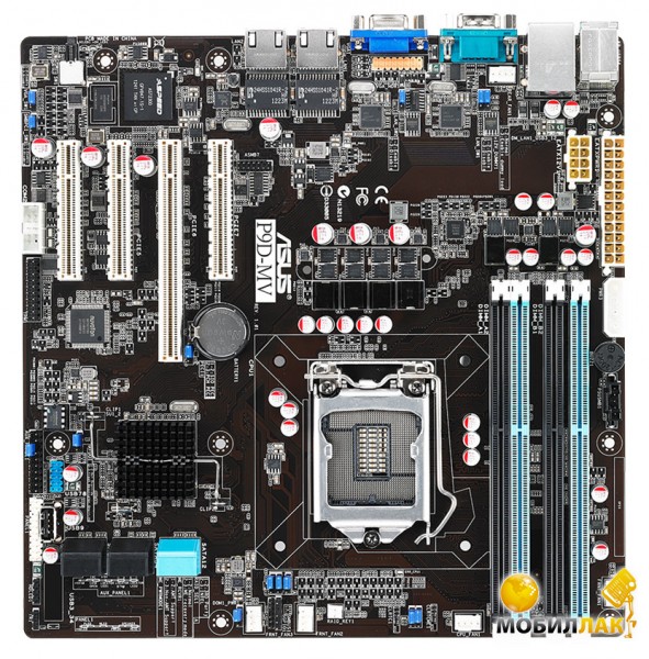   Asus P9D-MV (s1150, Intel 222, PCI-Ex16)