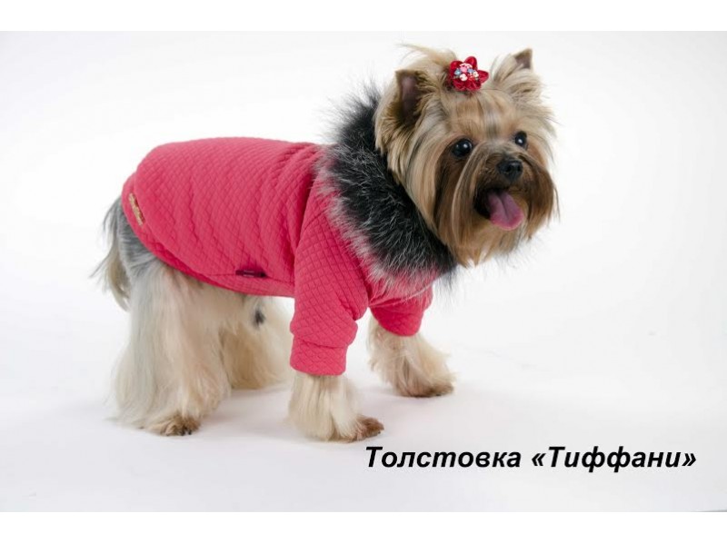 Толстовка для собаки Pet Fashion Тиффани X S-2