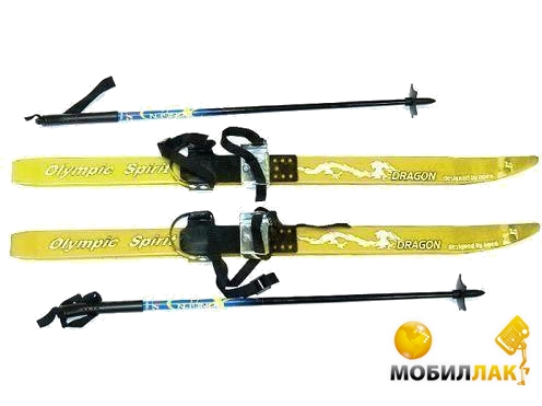    Skiing Snowscape 110 (TI-18-83-110)