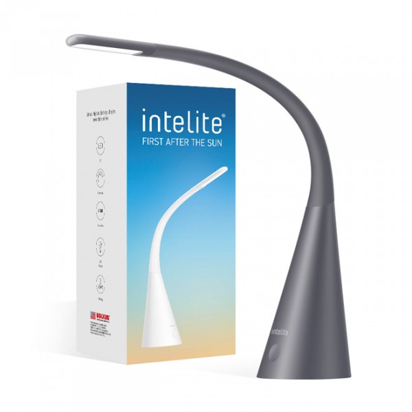 Настольный светильник Intelite Desk lamp Iron Grey (DL4-5W-IGR)