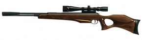 Diana 470 Target Hunter